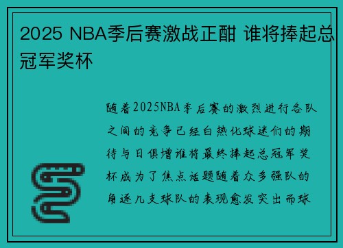 2025 NBA季后赛激战正酣 谁将捧起总冠军奖杯