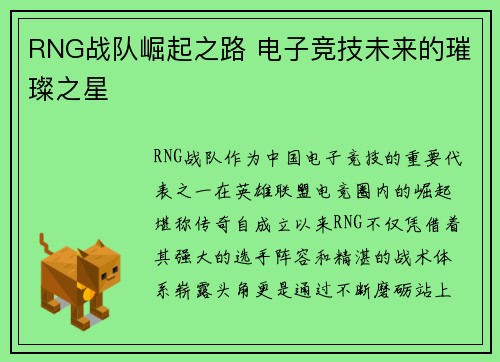 RNG战队崛起之路 电子竞技未来的璀璨之星